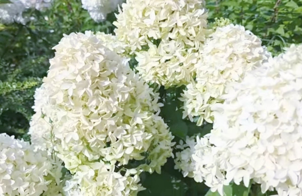 Скайфол — Skyfall